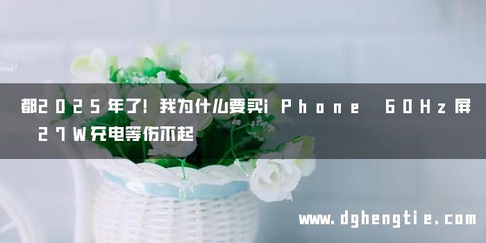 都2025年了!我为什么要买iPhone 60Hz屏 27W充电等伤不起
